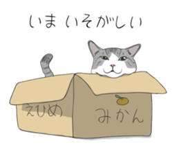 The Cute Cat sticker #538049