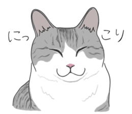 The Cute Cat sticker #538051