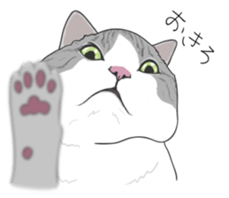 The Cute Cat sticker #538052