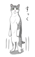 The Cute Cat sticker #538054