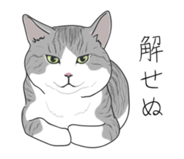 The Cute Cat sticker #538055