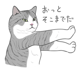 The Cute Cat sticker #538056