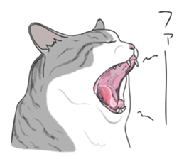 The Cute Cat sticker #538060