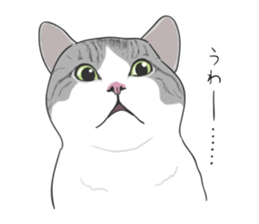 The Cute Cat sticker #538062
