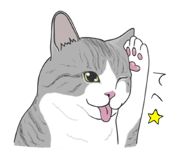 The Cute Cat sticker #538063