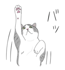 The Cute Cat sticker #538066