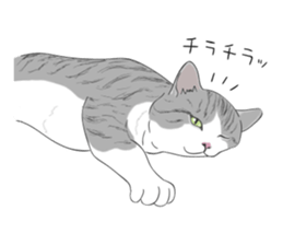 The Cute Cat sticker #538067