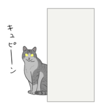 The Cute Cat sticker #538068