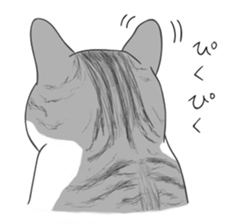 The Cute Cat sticker #538069