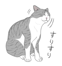 The Cute Cat sticker #538070
