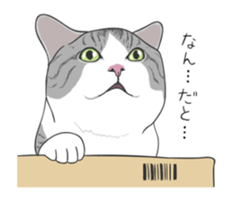 The Cute Cat sticker #538071