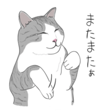 The Cute Cat sticker #538072