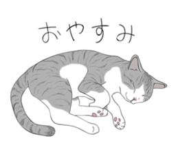 The Cute Cat sticker #538073
