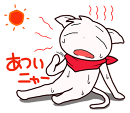 Stamp of scarf cat. sticker #538706