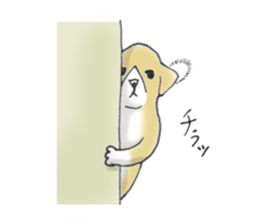 Billy's stamp sticker #540128