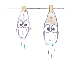 Erhu-owl Stickers sticker #540438