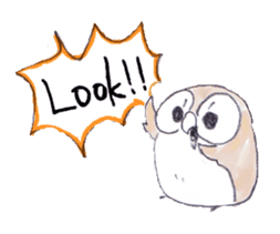 Erhu-owl Stickers sticker #540457