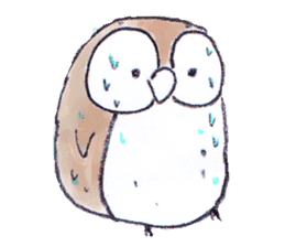 Erhu-owl Stickers sticker #540463