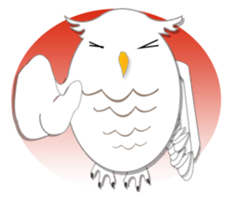 Baby Seal & Owly sticker #540772