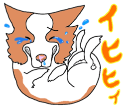 funny dog sticker #544722