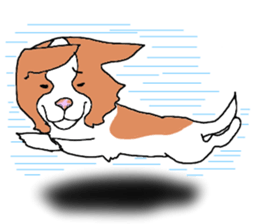 funny dog sticker #544733