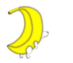 funny dog sticker #544738