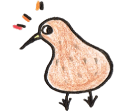 Pretty Kiwi sticker #545274