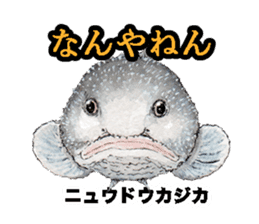 Realistic Deep Sea Creatures By Mqproject Sticker Realistic Deep Sea Creatures By Mqproject Sticker