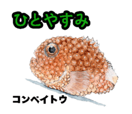 Realistic Deep-sea Creatures sticker #547529