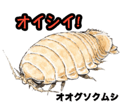 Realistic Deep-sea Creatures sticker #547535