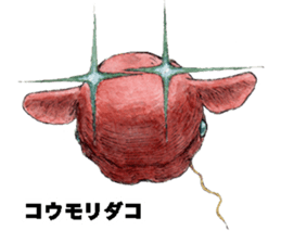 Realistic Deep-sea Creatures sticker #547538