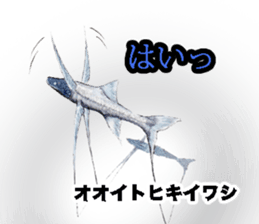 Realistic Deep-sea Creatures sticker #547547