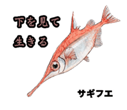 Realistic Deep-sea Creatures sticker #547548