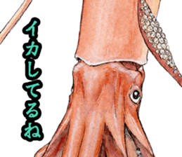 Realistic Deep-sea Creatures sticker #547549