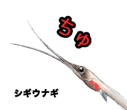 Realistic Deep-sea Creatures sticker #547551