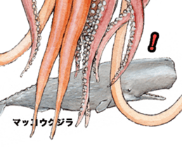 Realistic Deep-sea Creatures sticker #547553