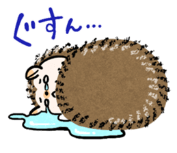 Hedgehog Charactor Stamp sticker #550067