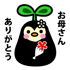 Species of balloon vine