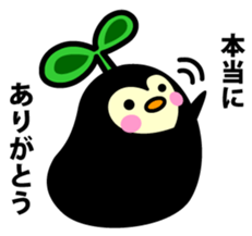 Species of balloon vine sticker #550075