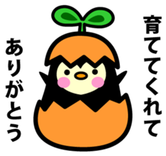 Species of balloon vine sticker #550079