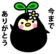 Species of balloon vine sticker #550080