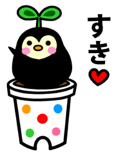 Species of balloon vine sticker #550083