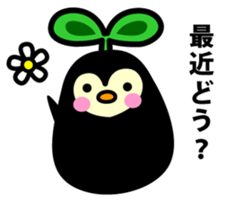 Species of balloon vine sticker #550086