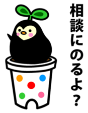 Species of balloon vine sticker #550088