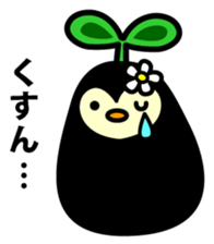 Species of balloon vine sticker #550089