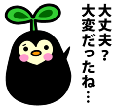 Species of balloon vine sticker #550090