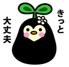 Species of balloon vine sticker #550092