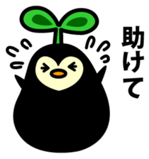 Species of balloon vine sticker #550100