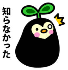 Species of balloon vine sticker #550101