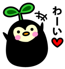 Species of balloon vine sticker #550103